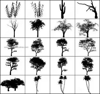 Trees Photoshop Brush Set Photoshop Free Brushes 123Freebrus