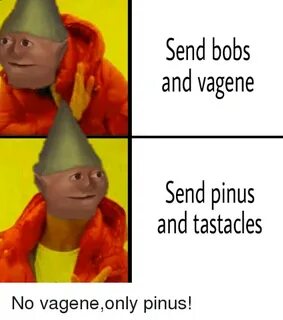 Send Bobs and Vagene Send Pinus and Tastacles Dank Meme on M