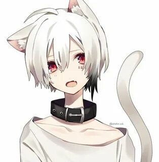 ま ふ ま ふ さ ん Anime cat boy, Anime neko, Neko boy