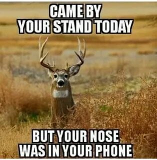 Pin by Fishing on hunting Hunting quotes funny, Deer hunting