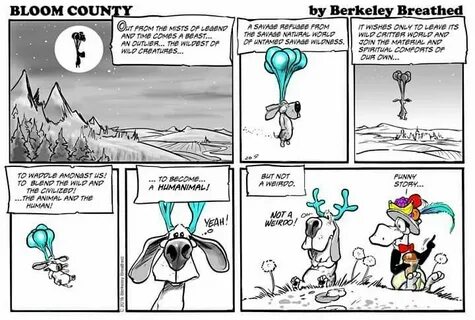 Funny story... Berkeley breathed, Bloom, Funny comics