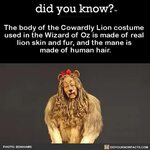 the-body-of-the-cowardly-lion-costume-used-in-the Wizard of 