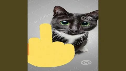Fingering my cat