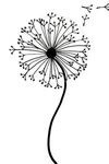 Dandelion clipart simple, Picture #2586741 dandelion clipart