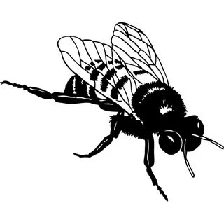 Bumble Bee PNG, SVG Clip art for Web - Download Clip Art, PN