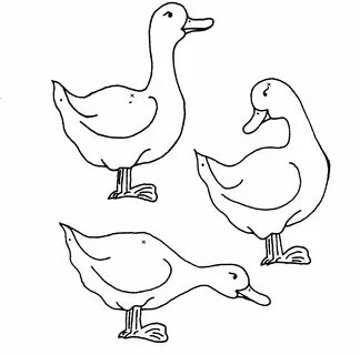 Drawings Goose (Animals) - Printable coloring pages