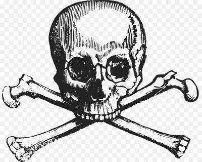 Skull and Bones Skull and crossbones Human skull symbolism -