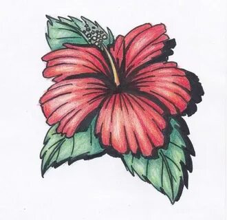 Drawings Flower drawing, Hawaiian flower drawing, Hawaiian f