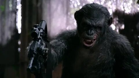 Dawn of the Planet of the Apes Trailer: Dawn Of The Planet O