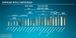 Bullet Sizes, Types, & Calibers - Comparison Chart & Guide f