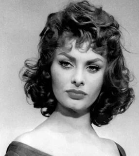 Sophia Loren Sophia loren, Sophia loren photo, Sophia loren 