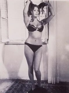 Sophia Loren photo 211 of 906 pics, wallpaper - photo #15030