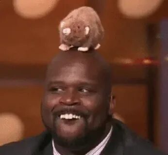 Shaquille O Neal Silly GIF - Shaquille O Neal Silly Funny - 