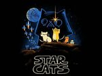 Star Cats Star wars art, Star wars humor, Star wars fans