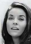 Pin by Jey on Famosos I Lee meriwether, Miss america, Celebr