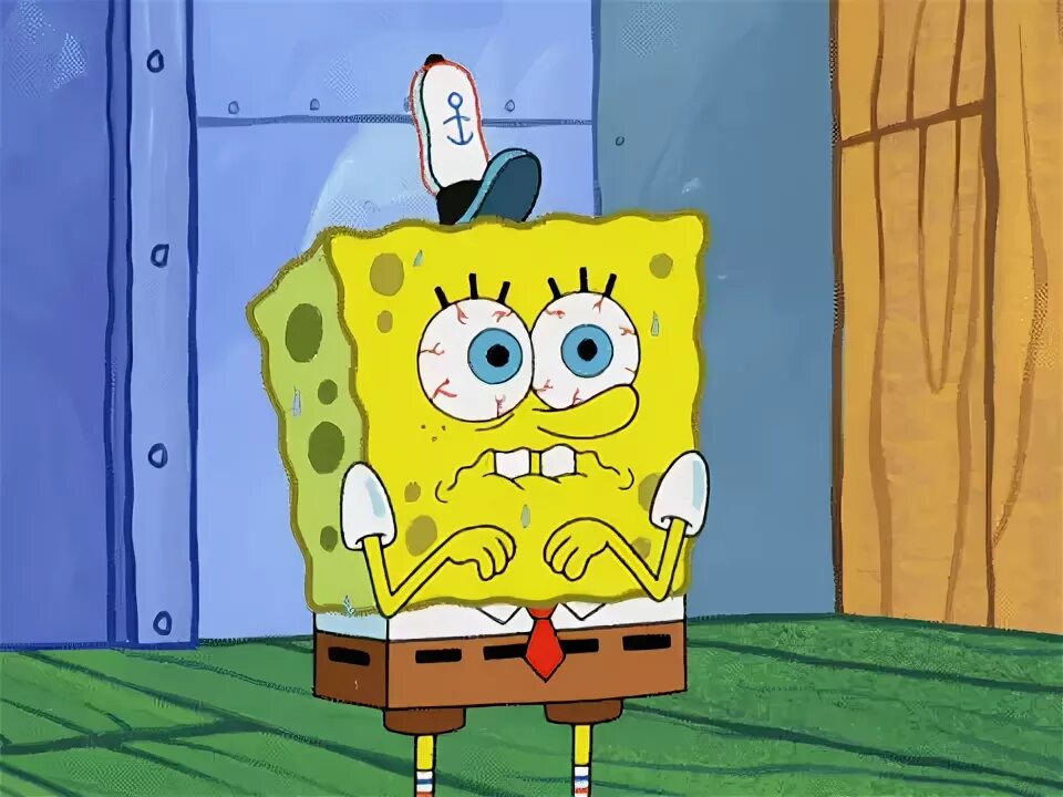 Spongebob squarepants season 8 episode 15 GIF - Find on GIFE