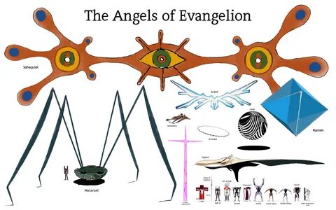 The size of the "Angels" in Evangelion. The purple robot is 