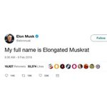 Fake Elon Musk tweet Elongated Muskrat Know Your Meme