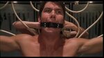 All tied up 876: Tomcats - Jerry Oconnel ball gagged