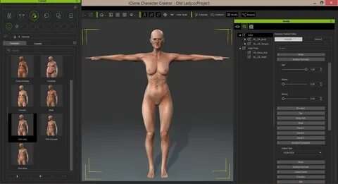 Character Creation Adult Porn Games