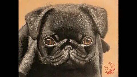 Pug Line Drawing Random Photos and Thoughts