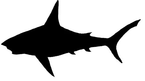 Shark Outlineclip Art - ClipArt Best