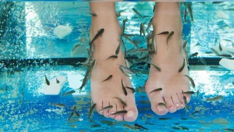 Japanese fish foot massage