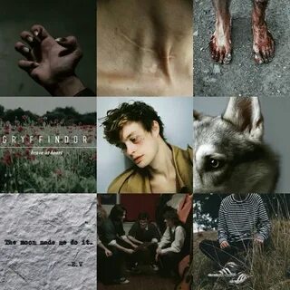 Remus Lupin aesthetic Harry potter pictures, Harry potter wa
