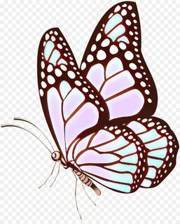 Mariposa, Dibujo, Arte De Línea imagen png - imagen transpar