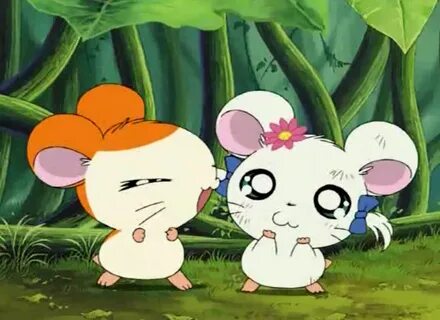 Pin by Ranya on 哈 姆 太 郎 Hamtaro, Cartoon memes, Mario charac