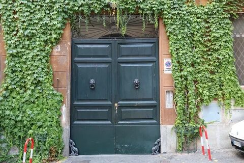 Зеленая дверь (70 фото) " НА ДАЧЕ ФОТО