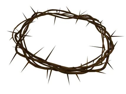 Prickly crown of thorns drawing free image download