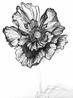 black and white poppy tattoo - Google Search Poppies tattoo,