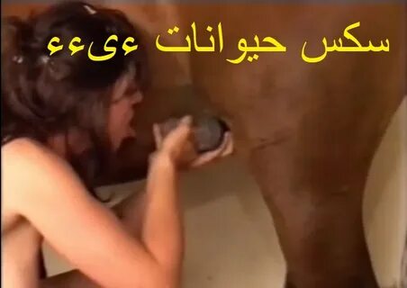 سكس حيوانات ءىءء مقاطع من افلام نيك حصان مع بنات - عرب سكس