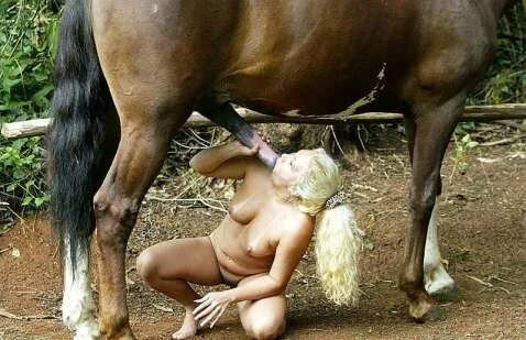 Donkey Girl Xxx Video Sex Pictures Pass