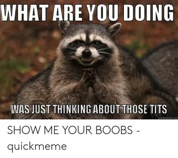 🐣 25+ Best Memes About Show Me Your Tits Meme Show Me Your T