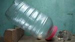 mouse trap made from plastic bottle,water bottle mouse rat t
