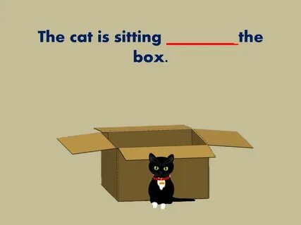 PREPOSITION OF PLACE WHERE IS THE CAT?. - ppt download