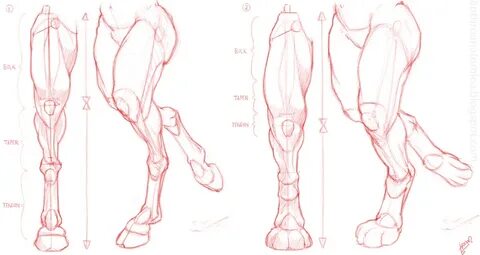 satyr legs - Google Search Drawings, Animal drawings, Anatom