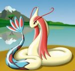 Let's have a thread about your favorite water type, Milotic 