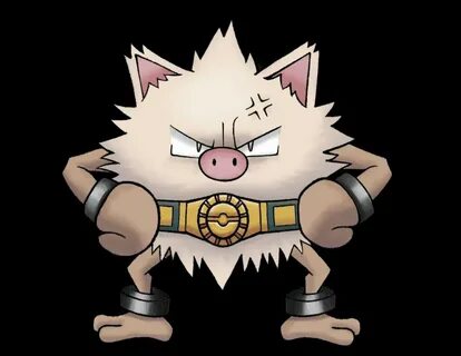 My Top 5 Favorite Fighting Type Pokémon Pokémon Amino