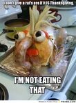 Humorous thanksgiving Memes