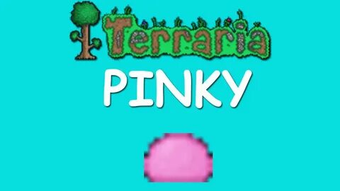 Terraria - Pinky - YouTube