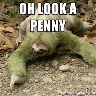 Oh look a penny sloth - Dump A Day