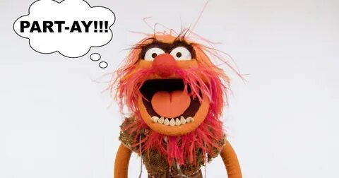 Muppet Stuff: Muppet Thought of the Week ft. Animal!