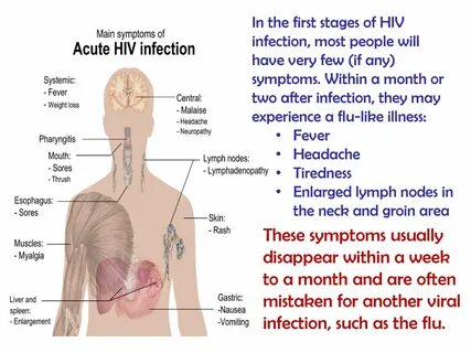 Understanding HIV & AIDS. - ppt download