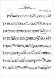 Minuet from String Quintet in E major (L. Boccherini) - Free
