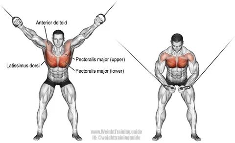 Cable cross-over exercise guide and video Weight Training Gu