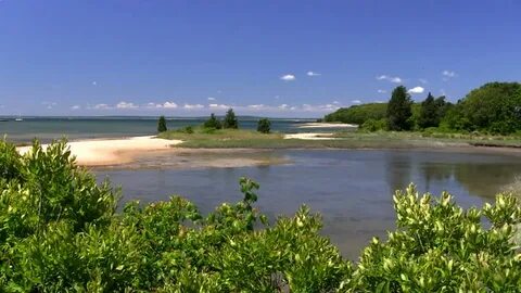 Bennets Neck Sandbar Island Cove Stok Videosu (%100 Telifsiz