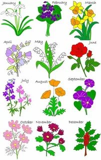 Birth flower tattoos, Birth flowers, Birth month flowers